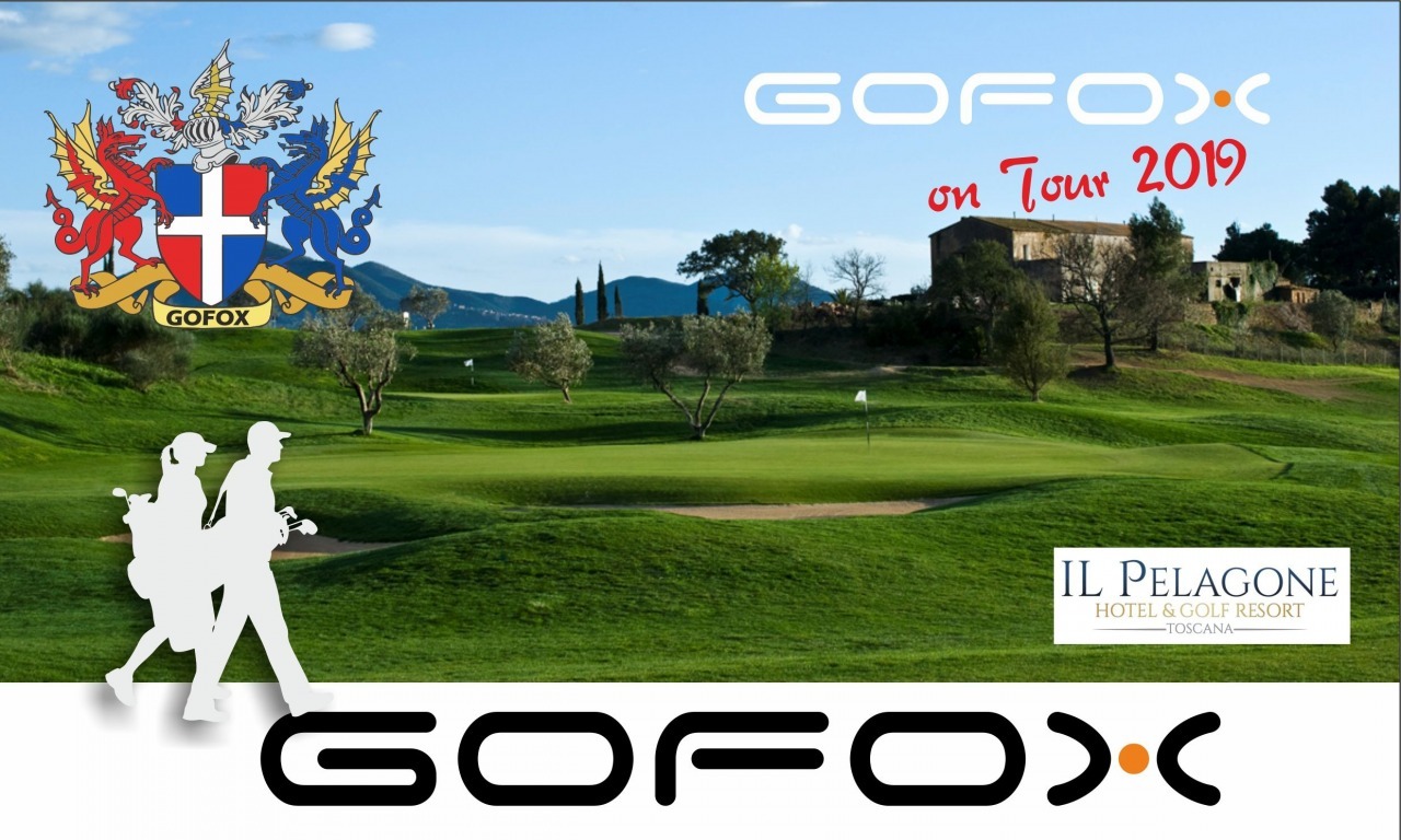 Domenica GOFOX on Tour 2019