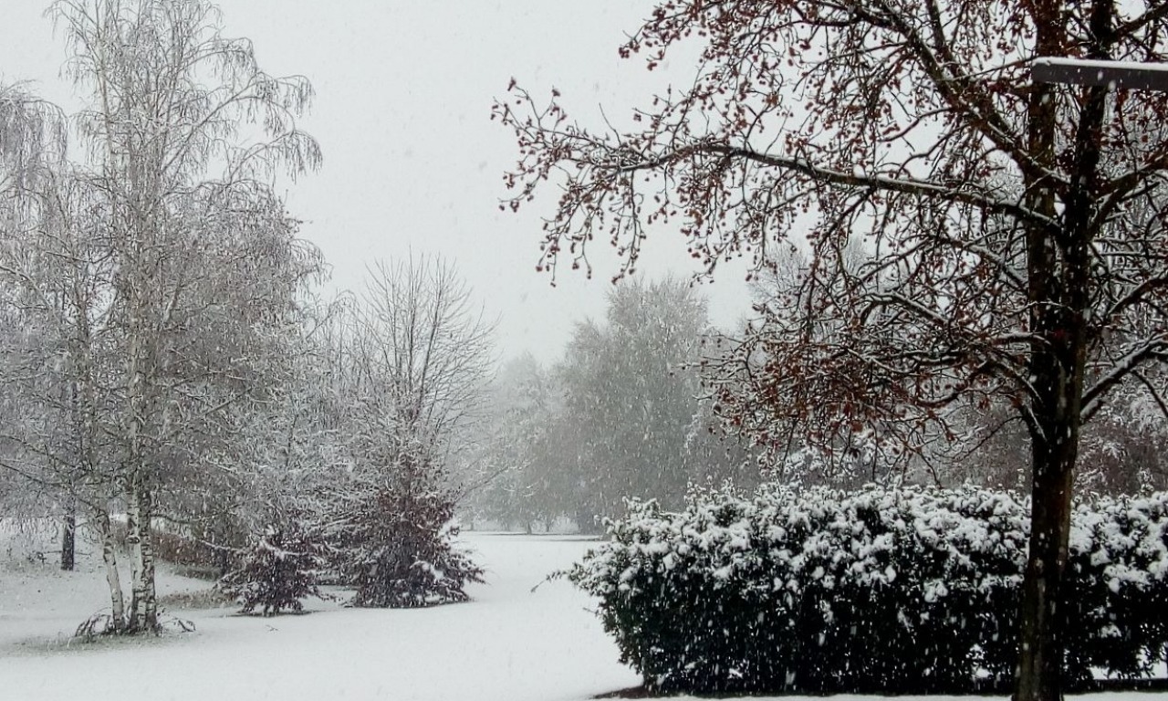 Campo chiuso per neve